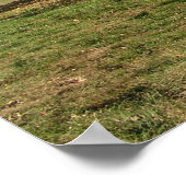 Herbstbaum Poster (Ecke)