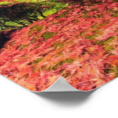 Herbstbaum Poster (Ecke)