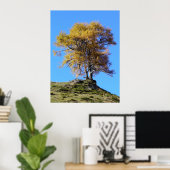 Herbstbaum Poster (Heimbüro)