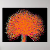 Herbstbaum Poster (Vorne)