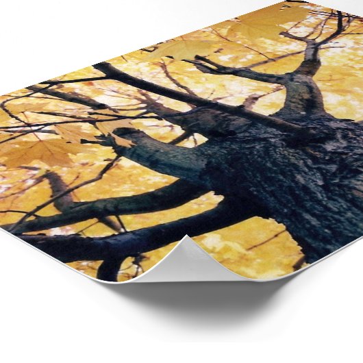Herbstbaum Poster (Ecke)