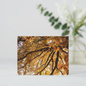 Herbstbaum Postkarte (Stehend Vorderseite)