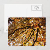 Herbstbaum Postkarte (Vorne/Hinten)