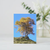 Herbstbaum Postkarte (Stehend Vorderseite)