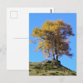Herbstbaum Postkarte (Vorne/Hinten)