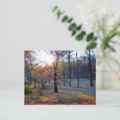 Herbstbaum Postkarte (Stehend Vorderseite)