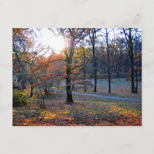 Herbstbaum Postkarte (Vorderseite)