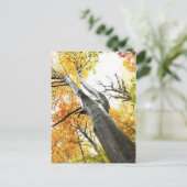 Herbstbaum Postkarte (Stehend Vorderseite)