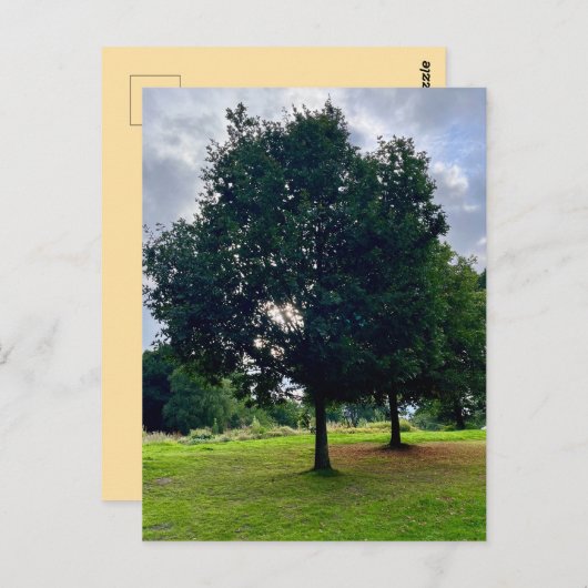 Herbstbaum Postkarte (Vorne/Hinten)