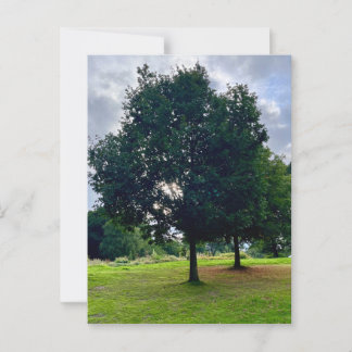 Herbstbaum Postkarte