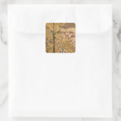 Herbstbaum Quadratischer Aufkleber (Tasche)