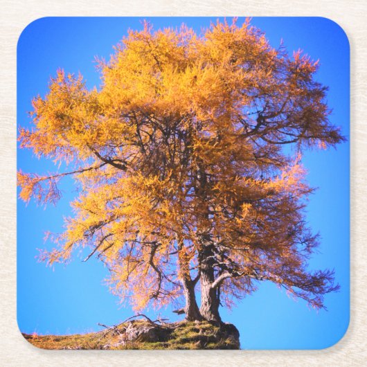 Herbstbaum Rechteckiger Pappuntersetzer (Vorderseite)