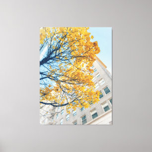 Herbstbaum und Gebäude-Fassade Leinwanddruck
