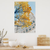 Herbstbaum und hohes Gebäude Poster (Küche)