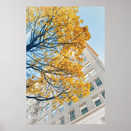 Herbstbaum und hohes Gebäude Poster (Vorne)