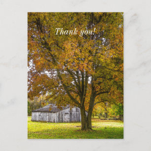 Herbstbaum und Stall Painterly Danke Postcard Postkarte