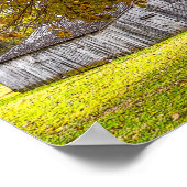 Herbstbaum und Stallpfälzchen Poster (Ecke)