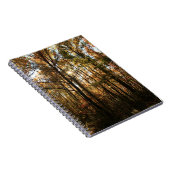 Herbstbaume #3855 Notebook Notizblock (Rechte Seite)