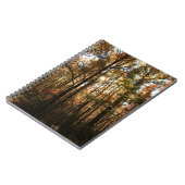 Herbstbaume #3855 Notebook Notizblock (Linke Seite)