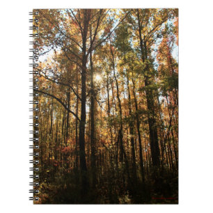 Herbstbaume #3855 Notebook Notizblock