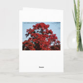 Herbstbäume, alter Freund Karte (Rückseite)
