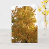 Herbstbäume, alter Freund Karte (Gelbe Blume)