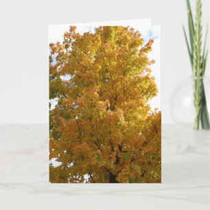Herbstbäume, alter Freund Karte