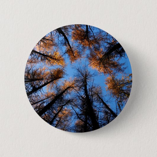 Herbstbäume bei Sonnenuntergang Button (Vorderseite)