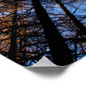 Herbstbäume bei Sonnenuntergang Poster (Ecke)