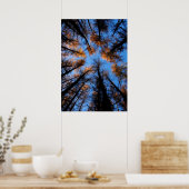 Herbstbäume bei Sonnenuntergang Poster (Küche)