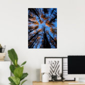 Herbstbäume bei Sonnenuntergang Poster (Heimbüro)