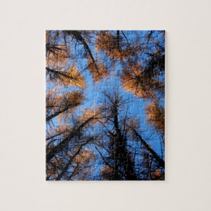 Herbstbäume bei Sonnenuntergang Puzzle