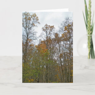 Herbstbaume gegen graue Himmelskarte Karte
