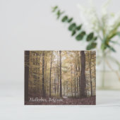 Herbstbäume, Hallerbos, Belgien Postkarte (Stehend Vorderseite)