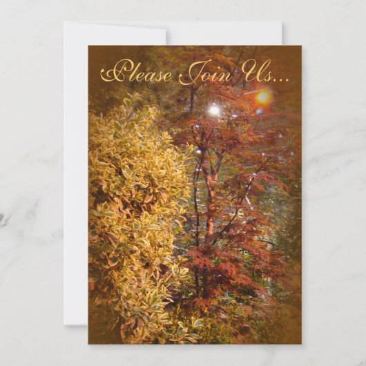 Herbstbäume Hochzeit II Einladung (Vorderseite)