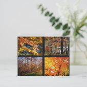 Herbstbaume in Arkansas Fotografie Postkarte (Stehend Vorderseite)