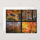 Herbstbaume in Arkansas Fotografie Postkarte (Vorne/Hinten)