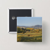 Herbstbaume, Khankoban, Schneeberge, neu Button (Vorne & Hinten)