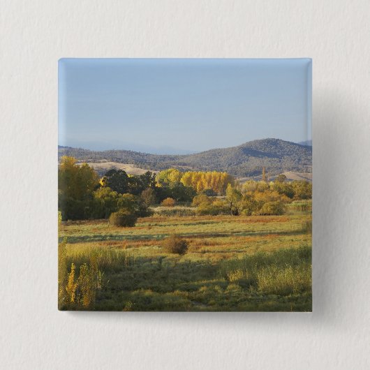 Herbstbaume, Khankoban, Schneeberge, neu Button (Vorderseite)