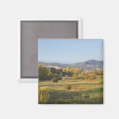 Herbstbäume, Khankoban, Schneeberge, neu Magnet (Vorderseite/Rückseite)