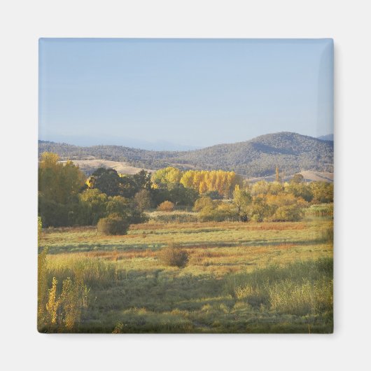 Herbstbäume, Khankoban, Schneeberge, neu Magnet (Vorne)