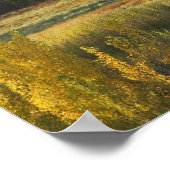 Herbstbäume, Khankoban, Schneeberge, neu Poster (Ecke)
