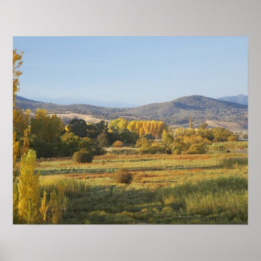 Herbstbäume, Khankoban, Schneeberge, neu Poster (Vorne)