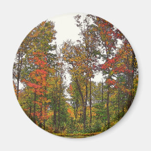 Herbstbäume Magnet