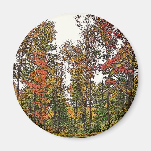 Herbstbäume Magnet (Vorne)