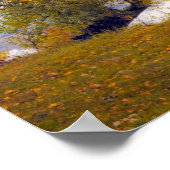Herbstbäume Misti Lake Poster (Ecke)