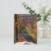 Herbstbäume mit Krähe Saisonale  Postkarte (Stehend Vorderseite)