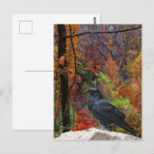 Herbstbäume mit Krähe Saisonale  Postkarte (Vorne/Hinten)