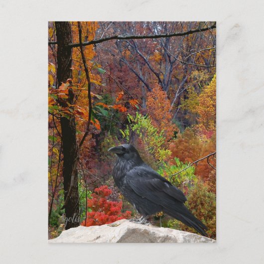 Herbstbäume mit Krähe Saisonale  Postkarte (Vorderseite)