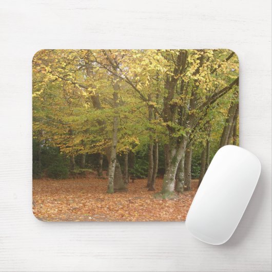 Herbstbäume Mousepad (Mit Mouse)